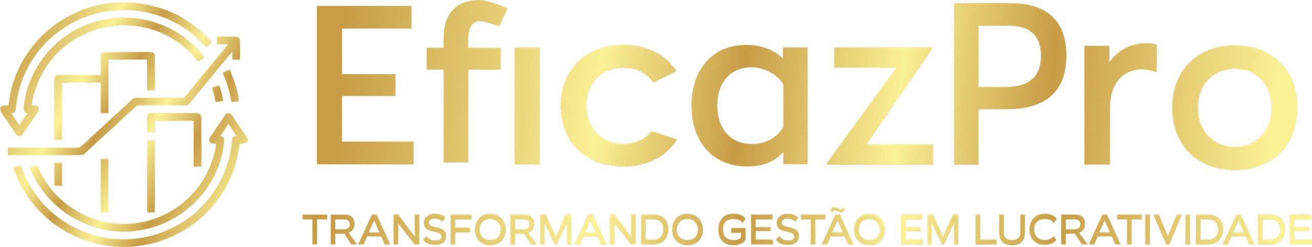 eficaz SEM FUNDO (2)